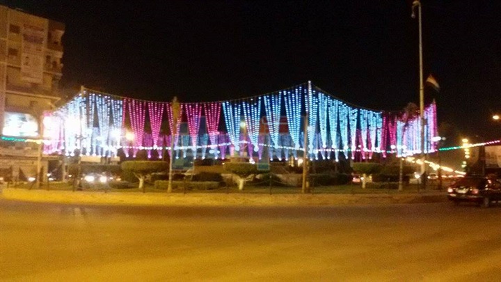 بـ«الأعلام».. كفر الشيخ تحتفل بذكرى 30 يونيو