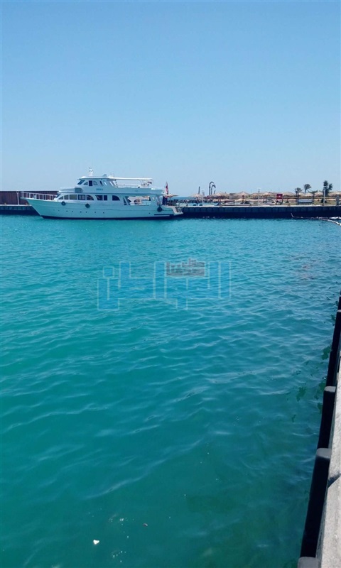 محافظ البحر الأحمر يتابع عمال إزالة التلوث الزيتي بالغردقة