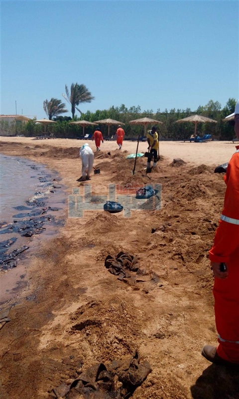محافظ البحر الأحمر يتابع عمال إزالة التلوث الزيتي بالغردقة