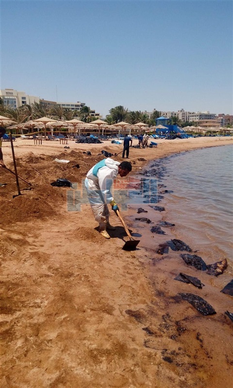 محافظ البحر الأحمر يتابع عمال إزالة التلوث الزيتي بالغردقة
