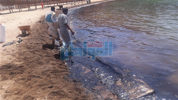 بالفيديو والصور.. بترو سيف: انجزنا %95 من مكافحة التسرب البترولى بالغردقه