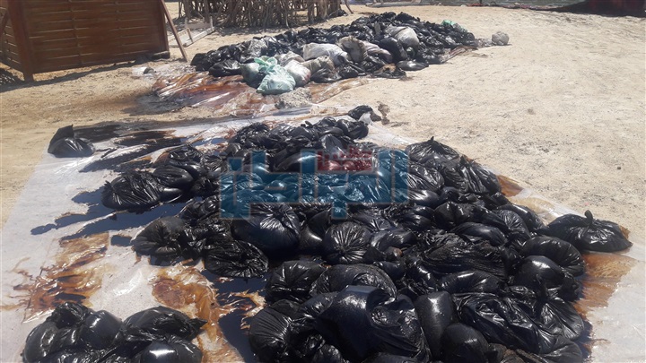 بالفيديو والصور.. بترو سيف: انجزنا %95 من مكافحة التسرب البترولى بالغردقه