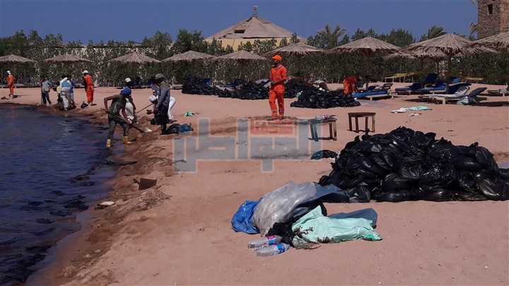 بالفيديو والصور.. بترو سيف: انجزنا %95 من مكافحة التسرب البترولى بالغردقه