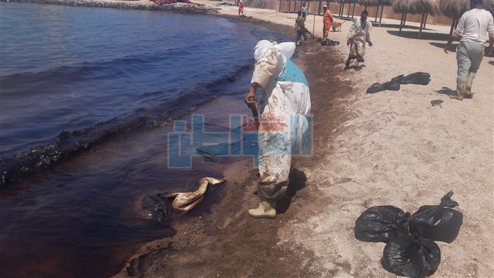 بالفيديو والصور.. بترو سيف: انجزنا %95 من مكافحة التسرب البترولى بالغردقه