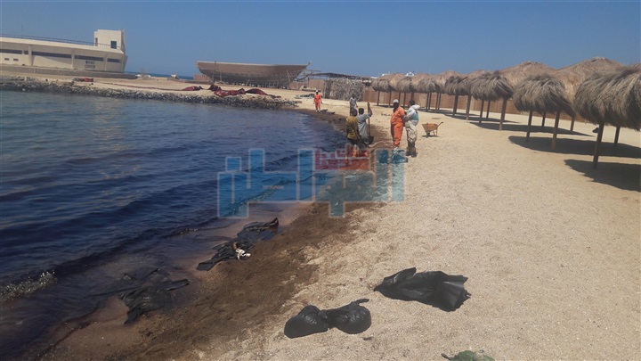 بالفيديو والصور.. بترو سيف: انجزنا %95 من مكافحة التسرب البترولى بالغردقه