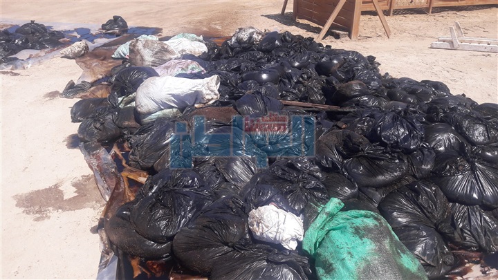 بالفيديو والصور.. بترو سيف: انجزنا %95 من مكافحة التسرب البترولى بالغردقه