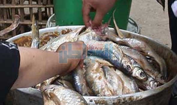 ضبط 300 كيلو سمك مملح فاسد قبل بيعه بعيد الفطر بالإسماعيلية