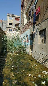 بالصور.. غرق منازل قرية عرب الصوالحة بشبين القناطر