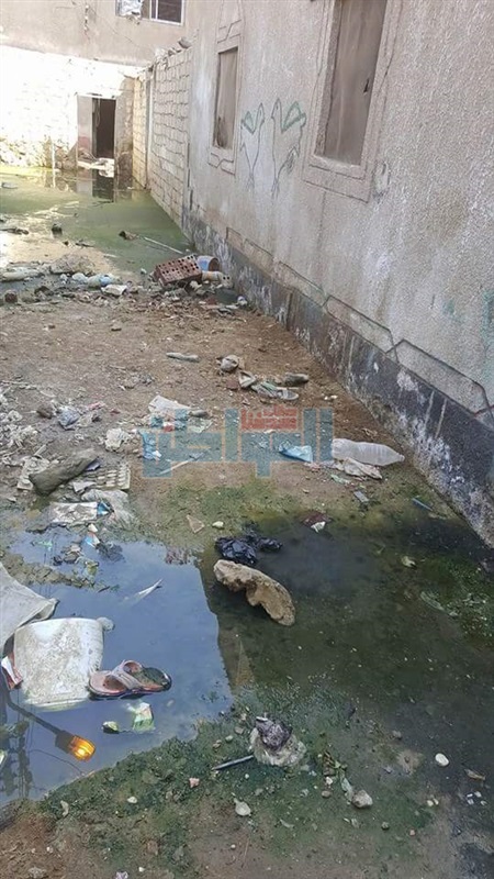 بالصور.. غرق منازل قرية عرب الصوالحة بشبين القناطر