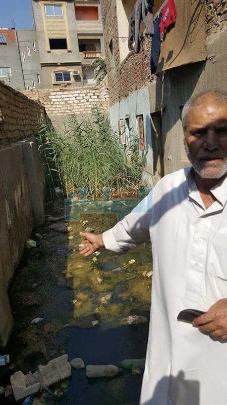 بالصور.. غرق منازل قرية عرب الصوالحة بشبين القناطر