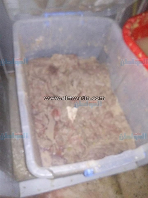بالصور.. ضبط 100 طن رؤوس ماشية وأمعاء قبل بيعها بالأسواق