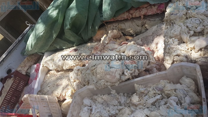 بالصور.. ضبط 1200 كيلو لحوم ودهون غير صالحة بالفيوم