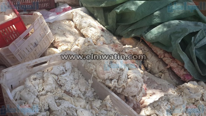 بالصور.. ضبط 1200 كيلو لحوم ودهون غير صالحة بالفيوم