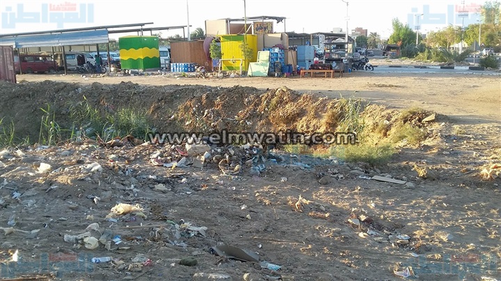 بالفيديو.. أهالي «الخارجة» يستغيثون من تراكم القمامة بمصرف زراعي بالوادى الجديد 