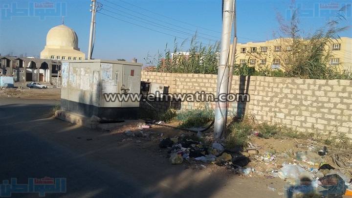 بالصور.. «كشك» كهرباء يهدد حياة تلاميذ مدرسة بالوادي الجديد