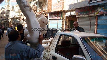 بالصور.. حملة لإزالة الإشغالات بشارعي "الجيش والتحرير" بالشرقية