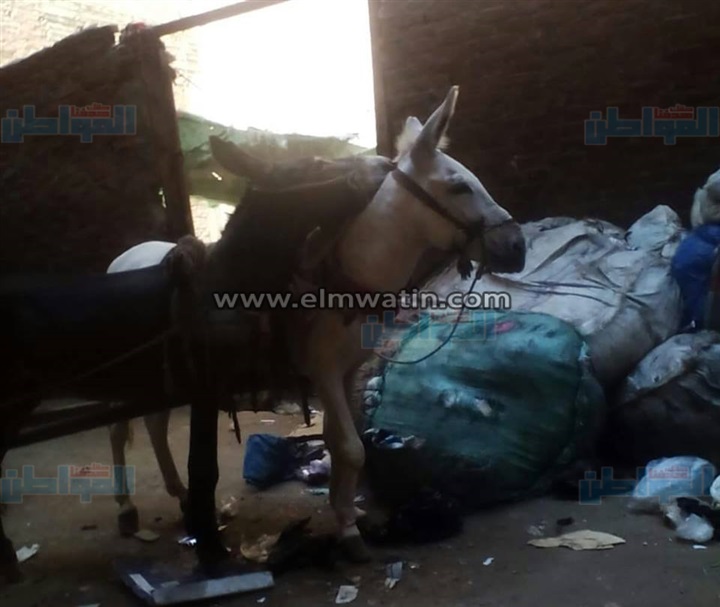 أهالي "حوض الحنة" بالخصوص يستغيثون من مخزن مخلفات خطرة