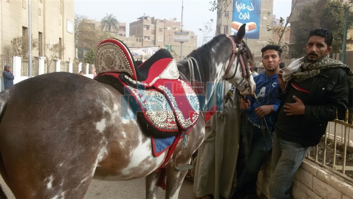 بالفيديو.. الطبل البلدي يستقبل محافظ القليوبية لعقد لقاءه الأسبوعي