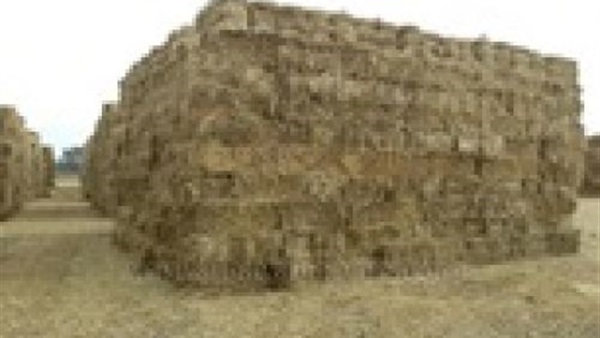 البيئة تدعم متعهدي