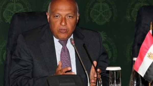 وزير الخارجية المصري