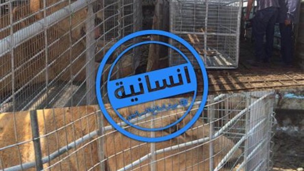 اسرائيل تتألم للحيوان