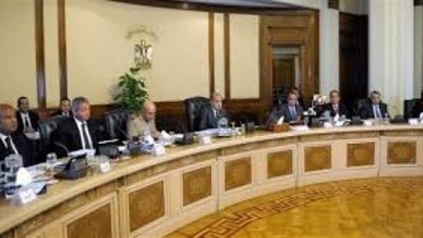 حكومة شريف تبحث زراعة