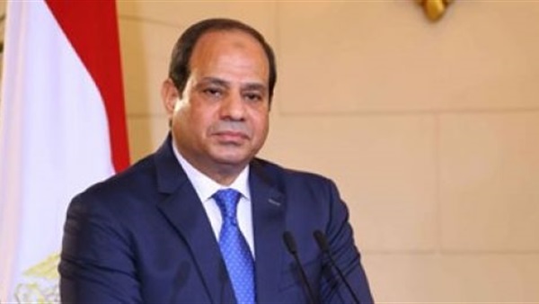 السيسي يستقبل نائب