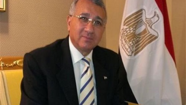 محمد حجازي: السيسي