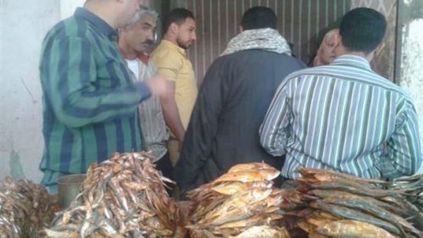 ضبط 28 طن «فسيخ وملوحة»
