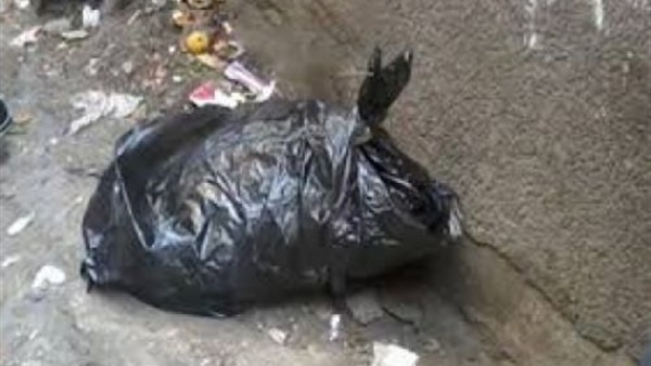 العثور على جسم غريب