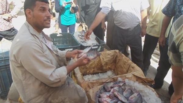 ضبط 1.6طن أسماك فاسدة