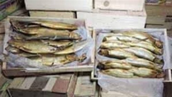 مباحث تموين الغربية