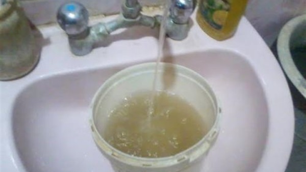 «أبو لطيعة» يبحث