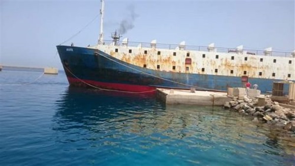 1598 رأس ماشية تصل