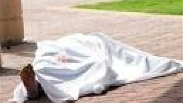 عاجل .. مباحث الوادى