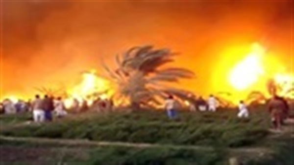 صوره ارشيفيه