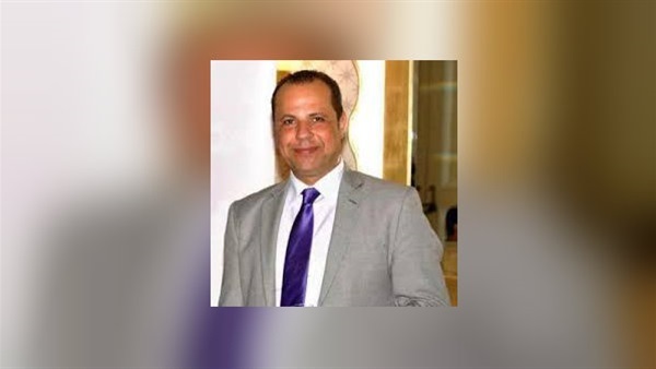وحيد عزت، الخبير