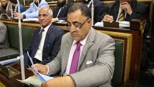 النائب إلهامى عجينة