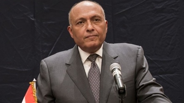 سامح شكري وزير الخارجية
