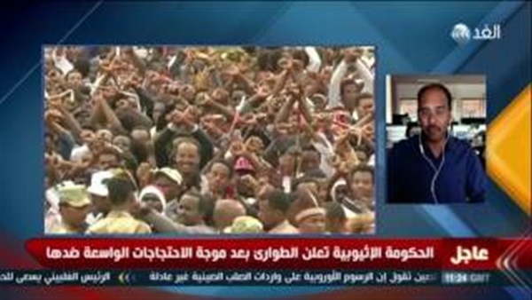 المواطن