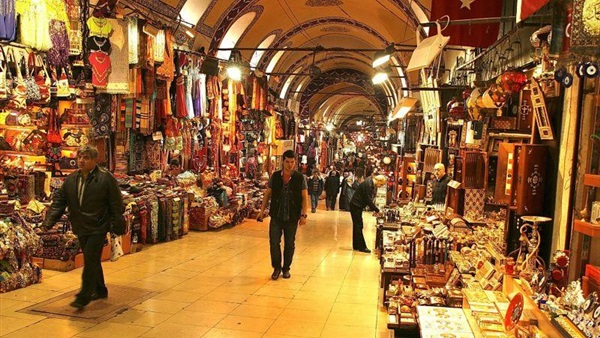 مشروعات سياحية (فنادق