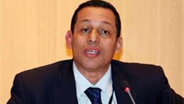 أيمن سلامة