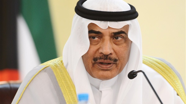 نائب رئيس مجلس الوزراء