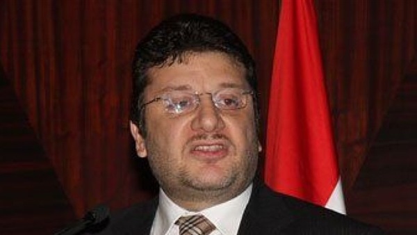 عمرو المنير، نائب