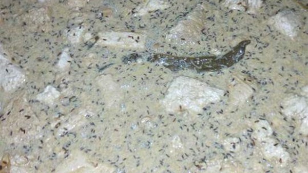 ضبط 6 طن جبنة فلاحى