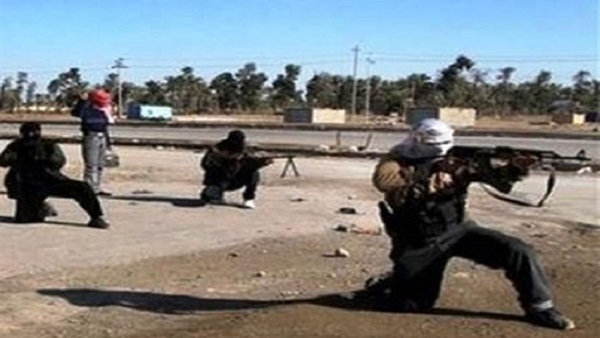 المواطن