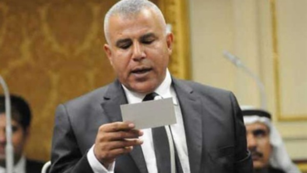 نعمان أحمد فتحي