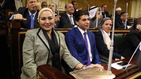 زينب سالم، عضو مجلس