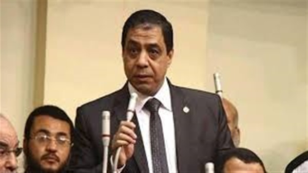 النائب حسني حافظ