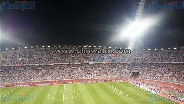 المواطن